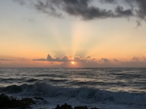 IMG_2414